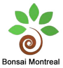 Magasin Bonsai Montreal